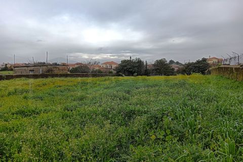 Terra a Branca, Aveiro, Branca - € 100.000 | Ref: AV26/011 - foto 11