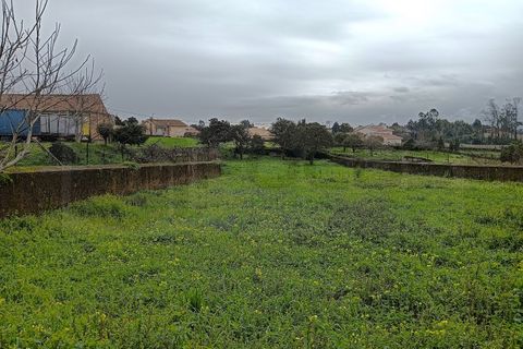 Terra a Branca, Aveiro, Branca - € 100.000 | Ref: AV26/011 - foto 12
