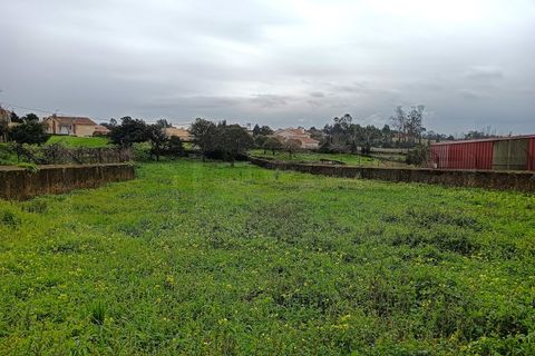 Terra a Branca, Aveiro, Branca - € 100.000 | Ref: AV26/011 - foto 13