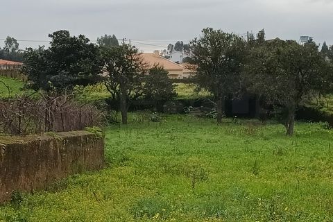 Terra a Branca, Aveiro, Branca - € 100.000 | Ref: AV26/011 - foto 14