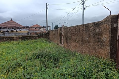 Terra a Branca, Aveiro, Branca - € 100.000 | Ref: AV26/011 - foto 15