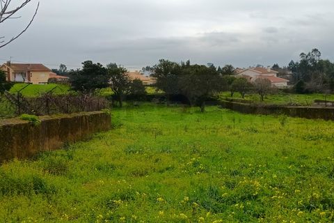 Terra a Branca, Aveiro, Branca - € 100.000 | Ref: AV26/011 - foto 16
