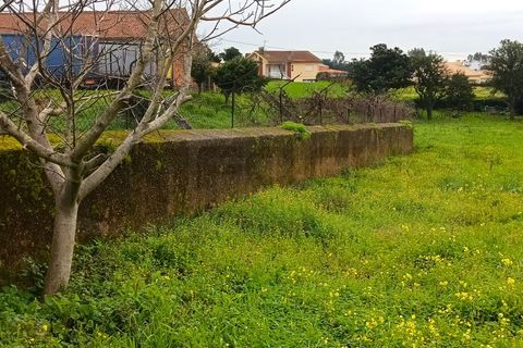 Terra a Branca, Aveiro, Branca - € 100.000 | Ref: AV26/011 - foto 17