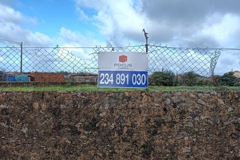 Terra a Branca, Aveiro, Branca - € 100.000 | Ref: AV26/011 - foto 23