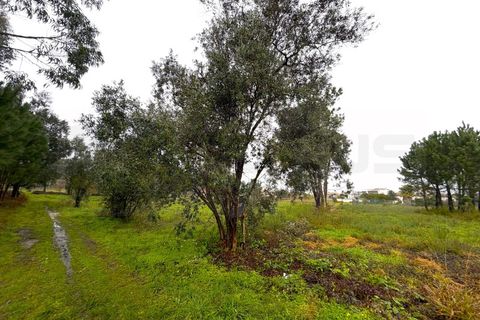 Terra em Arouca, Aveiro, Arouca - € 40.000 | Ref: AV26/009 - foto 1