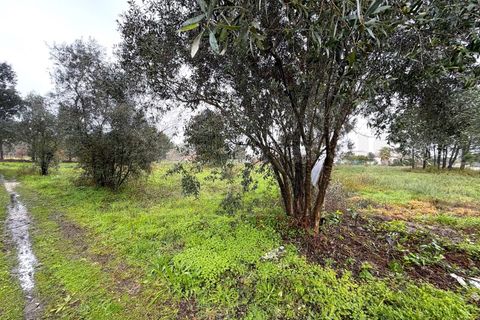 Terra em Arouca, Aveiro, Arouca - € 40.000 | Ref: AV26/009 - foto 9