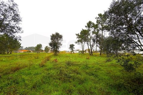 Terra em Arouca, Aveiro, Arouca - € 40.000 | Ref: AV26/009 - foto 16