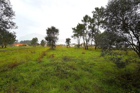 Terra em Arouca, Aveiro, Arouca - € 40.000 | Ref: AV26/009 - foto 17