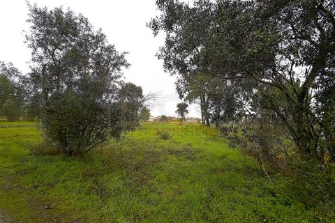 Terra em Arouca, Aveiro, Arouca - € 40.000 | Ref: AV26/009 - foto 18