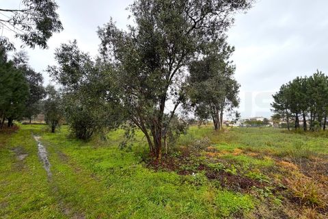 Terra em Arouca, Aveiro, Arouca - € 40.000 | Ref: AV26/009 - foto 20