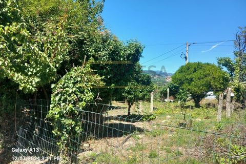 Terra a Bela, Viana do Castelo, Bela - € 30.000 | Ref: REF466 - foto 2