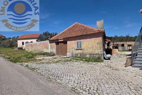 Villa i Matas e Cercal, Santarem, Matas e Cercal - € 110.000 | Ref: CAS_794 - foto 3