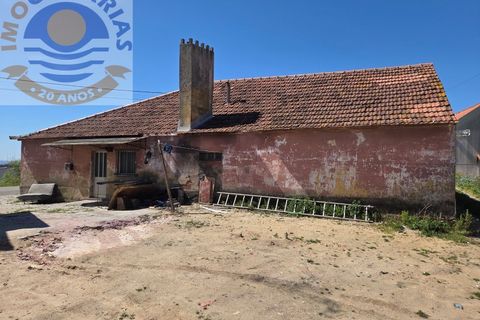 Villa i Matas e Cercal, Santarem, Matas e Cercal - € 110.000 | Ref: CAS_794 - foto 7