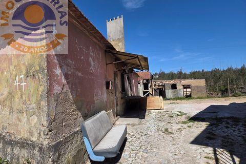 Villa i Matas e Cercal, Santarem, Matas e Cercal - € 110.000 | Ref: CAS_794 - foto 8