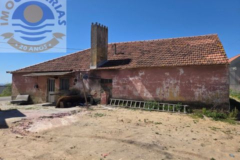 Villa i Matas e Cercal, Santarem, Matas e Cercal - € 110.000 | Ref: CAS_794 - foto 9