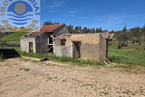 Villa i Matas e Cercal, Santarem, Matas e Cercal - € 110.000 | Ref: CAS_794 - foto 10