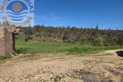 Villa i Matas e Cercal, Santarem, Matas e Cercal - € 110.000 | Ref: CAS_794 - foto 11