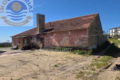 Villa i Matas e Cercal, Santarem, Matas e Cercal - € 110.000 | Ref: CAS_794 - foto 12
