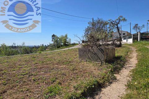 Villa i Matas e Cercal, Santarem, Matas e Cercal - € 110.000 | Ref: CAS_794 - foto 14