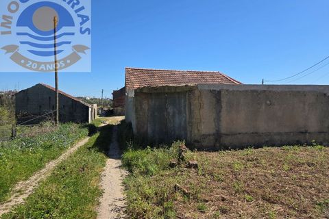 Villa i Matas e Cercal, Santarem, Matas e Cercal - € 110.000 | Ref: CAS_794 - foto 16