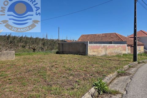 Villa i Matas e Cercal, Santarem, Matas e Cercal - € 110.000 | Ref: CAS_794 - foto 17