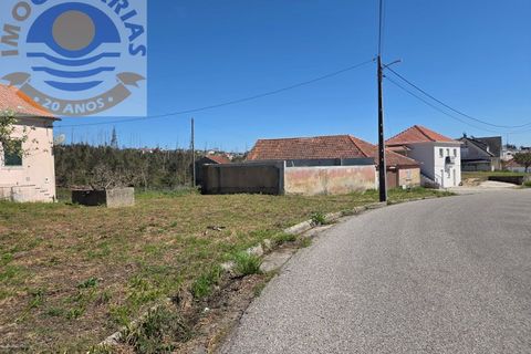 Villa i Matas e Cercal, Santarem, Matas e Cercal - € 110.000 | Ref: CAS_794 - foto 18