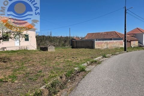 Villa i Matas e Cercal, Santarem, Matas e Cercal - € 110.000 | Ref: CAS_794 - foto 19