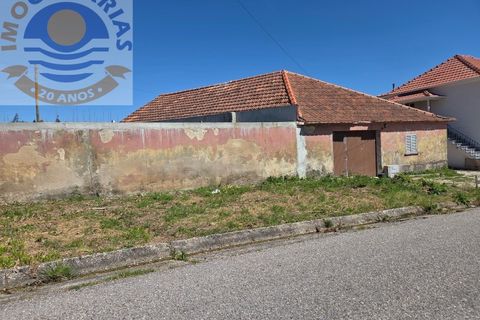 Villa i Matas e Cercal, Santarem, Matas e Cercal - € 110.000 | Ref: CAS_794 - foto 21