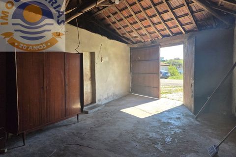 Villa i Matas e Cercal, Santarem, Matas e Cercal - € 110.000 | Ref: CAS_794 - foto 22