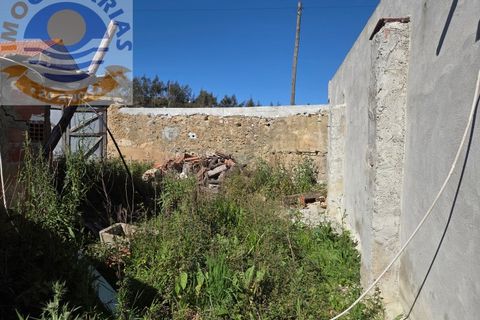 Villa i Matas e Cercal, Santarem, Matas e Cercal - € 110.000 | Ref: CAS_794 - foto 25