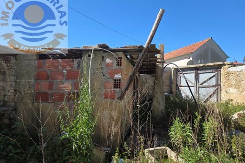 Villa i Matas e Cercal, Santarem, Matas e Cercal - € 110.000 | Ref: CAS_794 - foto 26