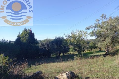 Villa i Ourem, Santarem, Ourem - € 69.900 | Ref: CAS_793 - foto 19