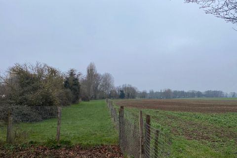 Terra a Maltot, Calvados, Maltot - € 113.000 | Ref: NL_maltot_Trrain - foto 2
