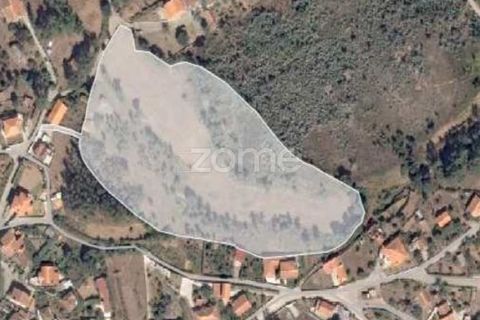 Terra a Melres e Medas, Porto, Melres e Medas - € 145.000 | Ref: ZMPT584747 - foto 2