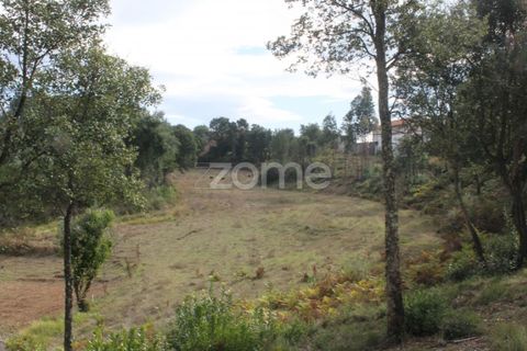 Terra a Melres e Medas, Porto, Melres e Medas - € 145.000 | Ref: ZMPT584747 - foto 7