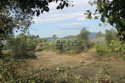 Terra a Melres e Medas, Porto, Melres e Medas - € 145.000 | Ref: ZMPT584747 - foto 9