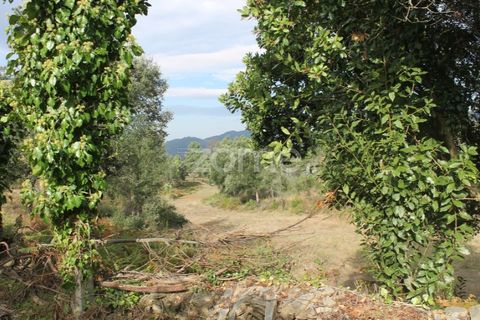 Terra a Melres e Medas, Porto, Melres e Medas - € 145.000 | Ref: ZMPT584747 - foto 10