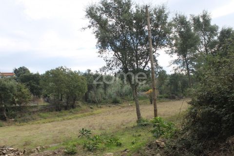 Terra a Melres e Medas, Porto, Melres e Medas - € 145.000 | Ref: ZMPT584747 - foto 12