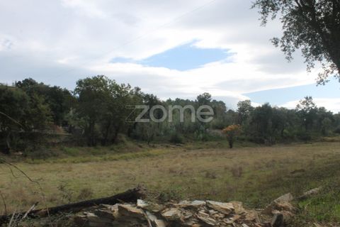 Terra a Melres e Medas, Porto, Melres e Medas - € 145.000 | Ref: ZMPT584747 - foto 15