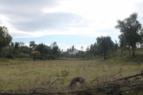 Terra a Melres e Medas, Porto, Melres e Medas - € 145.000 | Ref: ZMPT584747 - foto 16