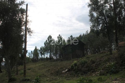 Terra a Melres e Medas, Porto, Melres e Medas - € 145.000 | Ref: ZMPT584747 - foto 17