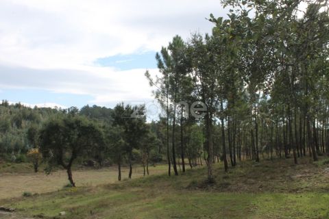 Terra a Melres e Medas, Porto, Melres e Medas - € 145.000 | Ref: ZMPT584747 - foto 25