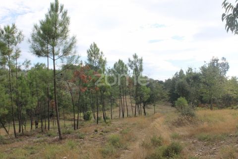 Terra a Melres e Medas, Porto, Melres e Medas - € 145.000 | Ref: ZMPT584747 - foto 26