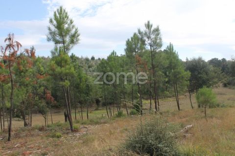 Terra a Melres e Medas, Porto, Melres e Medas - € 145.000 | Ref: ZMPT584747 - foto 27