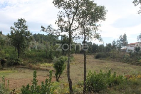 Terra a Melres e Medas, Porto, Melres e Medas - € 145.000 | Ref: ZMPT584747 - foto 29
