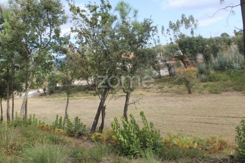 Terra a Melres e Medas, Porto, Melres e Medas - € 145.000 | Ref: ZMPT584747 - foto 30