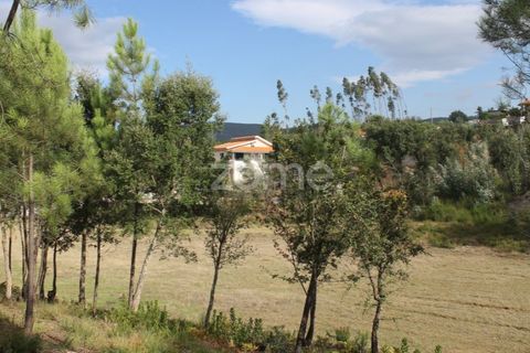 Terra a Melres e Medas, Porto, Melres e Medas - € 145.000 | Ref: ZMPT584747 - foto 31