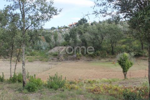 Terra a Melres e Medas, Porto, Melres e Medas - € 145.000 | Ref: ZMPT584747 - foto 32