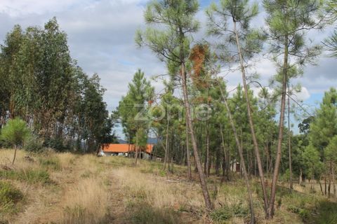 Terra a Melres e Medas, Porto, Melres e Medas - € 145.000 | Ref: ZMPT584747 - foto 33