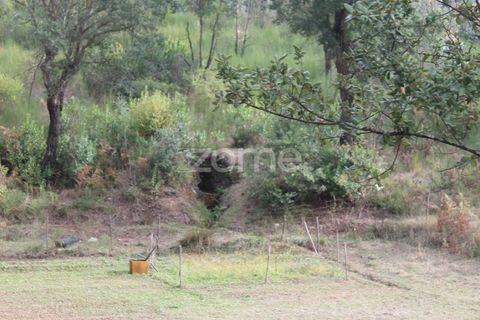Terra a Melres e Medas, Porto, Melres e Medas - € 145.000 | Ref: ZMPT584747 - foto 35